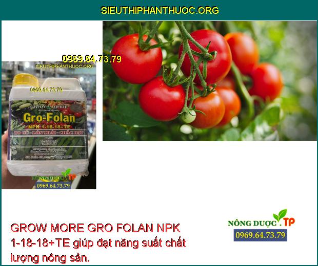 GROW MORE GRO FOLAN NPK 1-18-18+TE giúp đạt năng suất chất lượng nông sản.