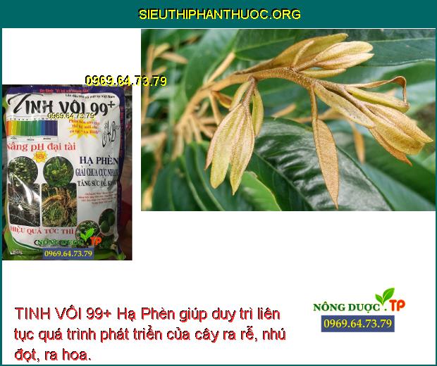 TINH VÔI 99+ Hạ Phèn giúp duy trì liên tục quá trình phát triển của cây ra rễ, nhú đọt, ra hoa.