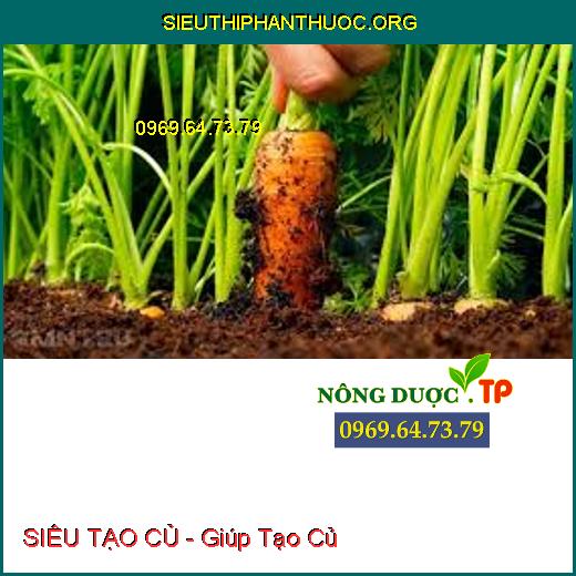 SIÊU TẠO CỦ - Giúp Tạo Củ