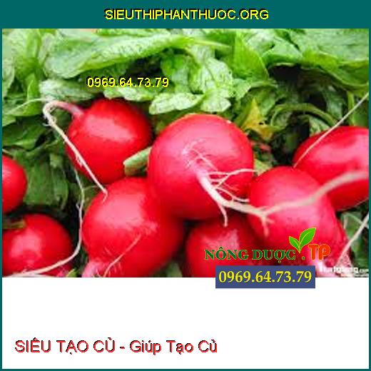 SIÊU TẠO CỦ - Giúp Tạo Củ