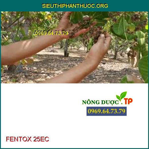 FENTOX 25EC