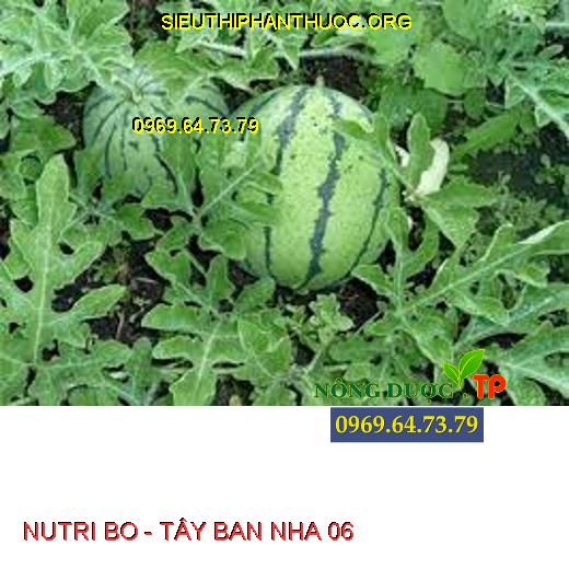 NUTRI BO - TÂY BAN NHA 06