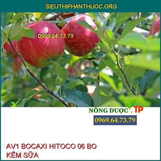 AV1 BOCAXI HITOCO 06 BO KẼM SỮA