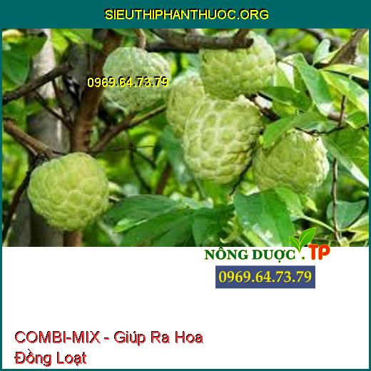 COMBI-MIX - Giúp Ra Hoa Đồng Loạt