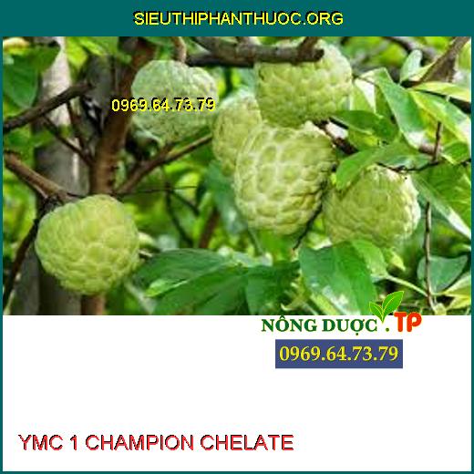 YMC 1 CHAMPION CHELATE