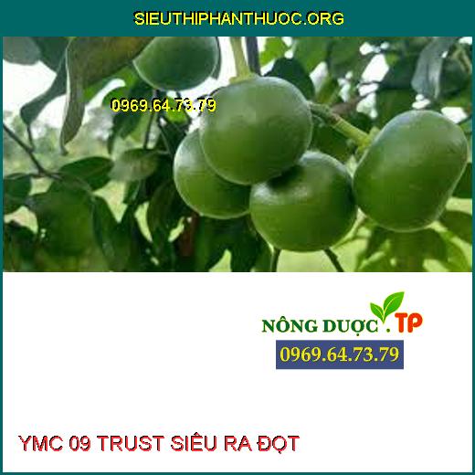 YMC 09 TRUST SIÊU RA ĐỌT