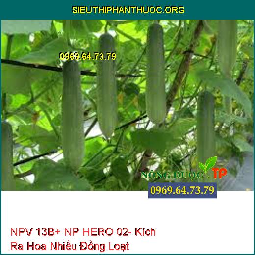 NPV 13B+ NP HERO 02- Kích Ra Hoa Nhiều Đồng Loạt