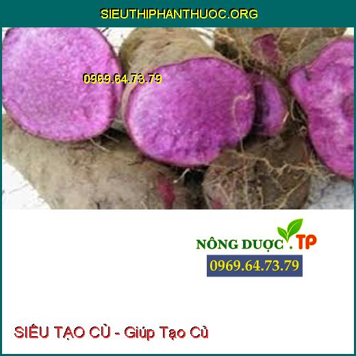 SIÊU TẠO CỦ - Giúp Tạo Củ