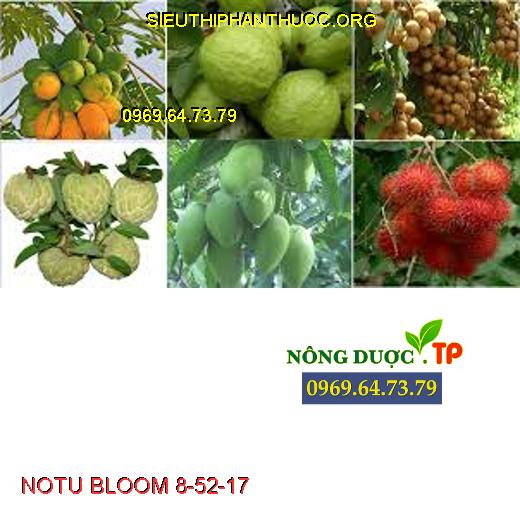 NOTU BLOOM 8-52-17