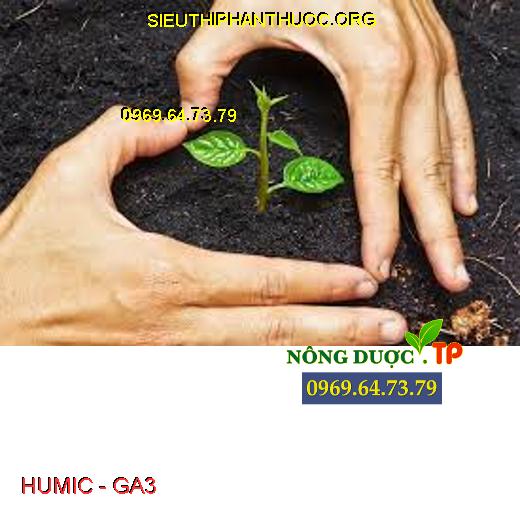 HUMIC - GA3