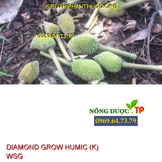 DIAMOND GROW HUMIC (K) WSG