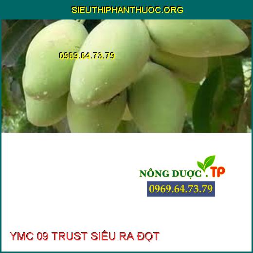 YMC 09 TRUST SIÊU RA ĐỌT