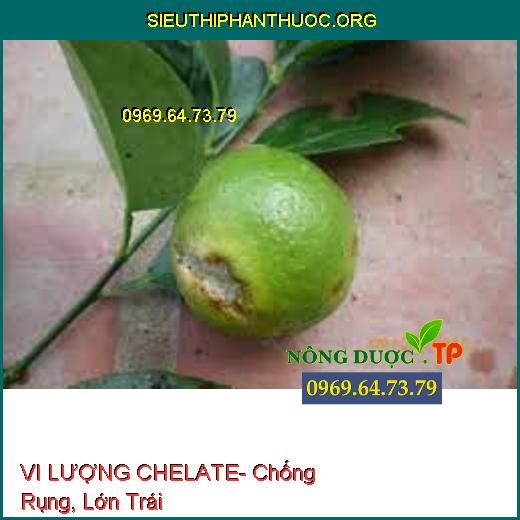 VI LƯỢNG CHELATE- Chống Rụng, Lớn Trái