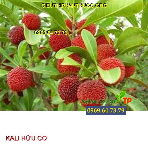 KALI HỮU CƠ