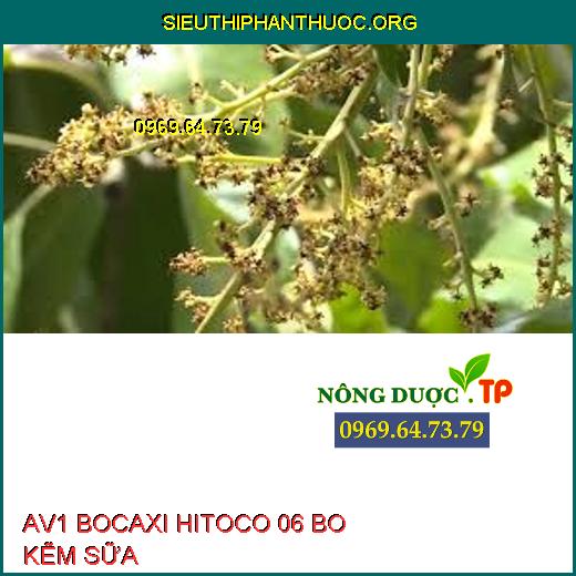 AV1 BOCAXI HITOCO 06 BO KẼM SỮA