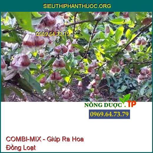 COMBI-MIX - Giúp Ra Hoa Đồng Loạt