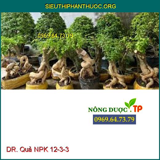 DR. Quả NPK 12-3-3 
