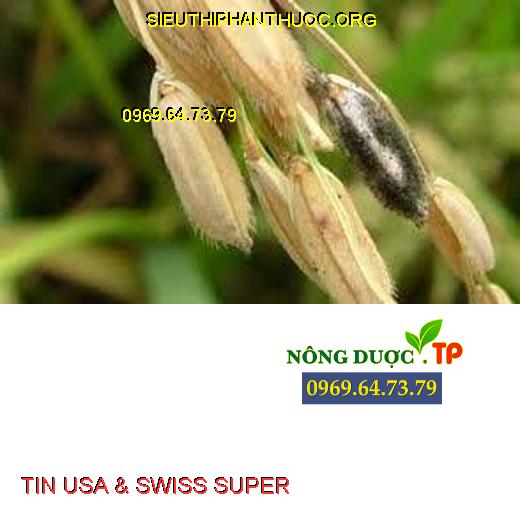 TIN USA & SWISS SUPER