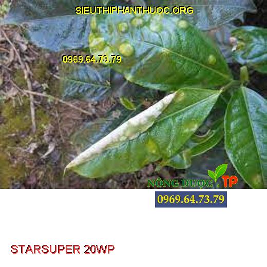 STARSUPER 20WP