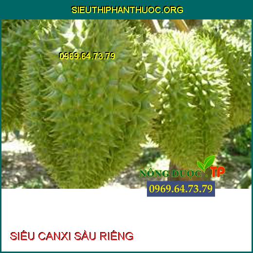 SIÊU CANXI SẦU RIÊNG