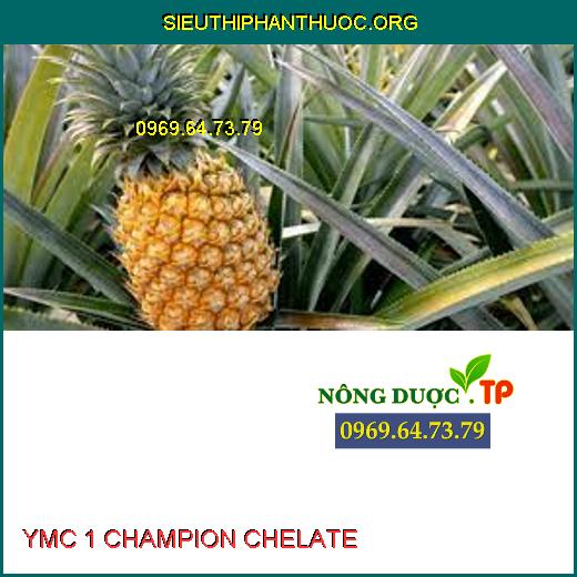 YMC 1 CHAMPION CHELATE