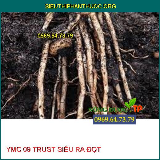 YMC 09 TRUST SIÊU RA ĐỌT