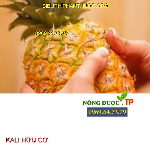 KALI HỮU CƠ