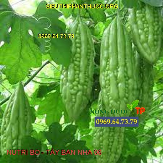 NUTRI BO - TÂY BAN NHA 06