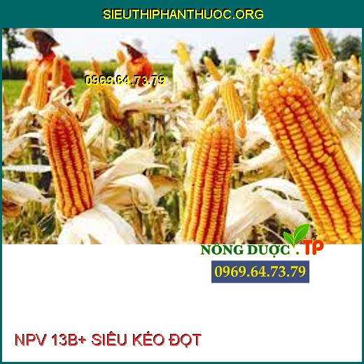 NPV 13B+ SIÊU KÉO ĐỌT