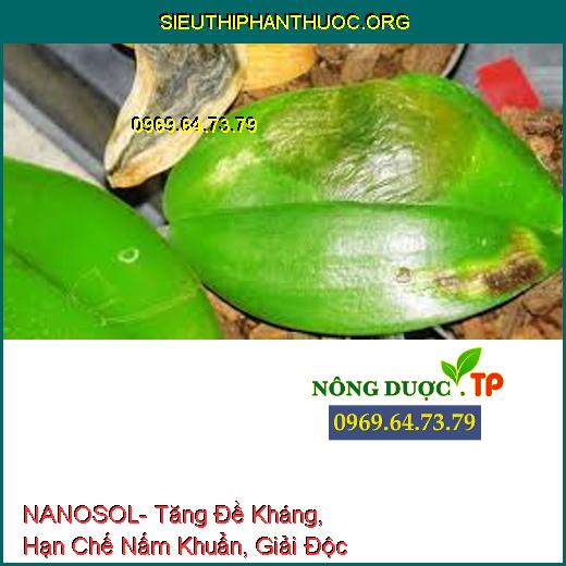 NANOSOL- Tăng Đề Kháng, Hạn Chế Nấm Khuẩn, Giải Độc