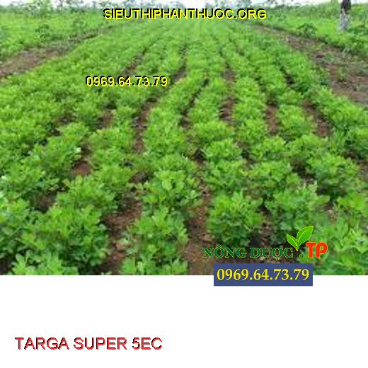 TARGA SUPER 5EC