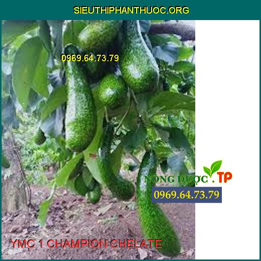 YMC 1 CHAMPION CHELATE