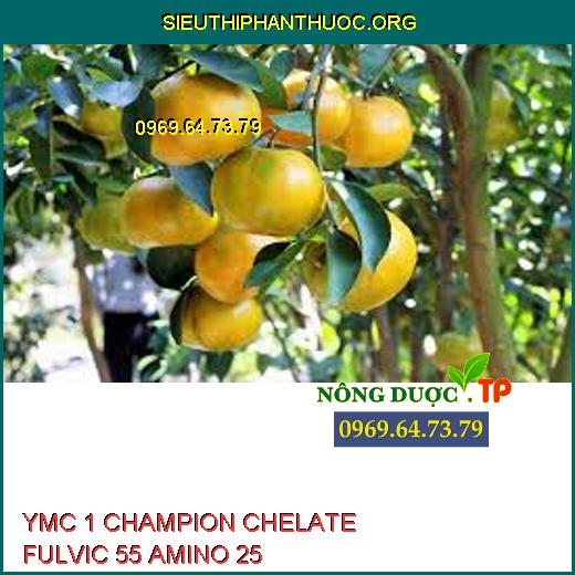 YMC 1 CHAMPION CHELATE FULVIC 55 AMINO 25