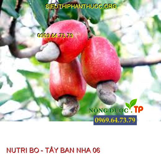 NUTRI BO - TÂY BAN NHA 06