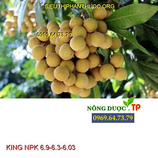 KING NPK 6.9-6.3-6.03