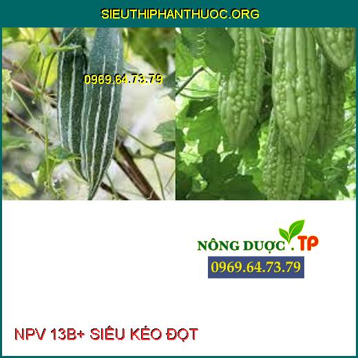 NPV 13B+ SIÊU KÉO ĐỌT