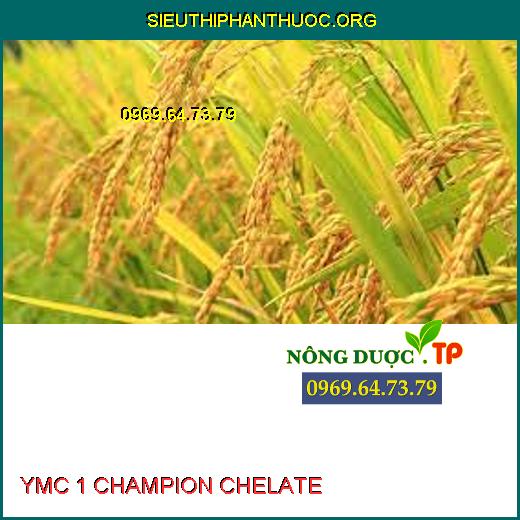 YMC 1 CHAMPION CHELATE