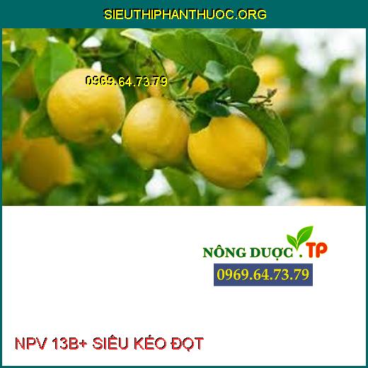 NPV 13B+ SIÊU KÉO ĐỌT