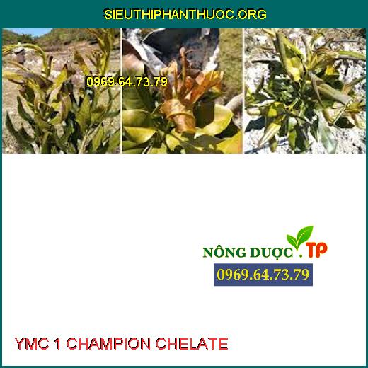 YMC 1 CHAMPION CHELATE