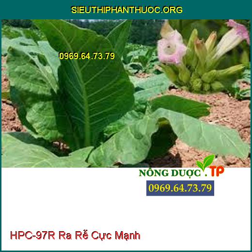 HPC-97R Ra Rễ Cực Mạnh