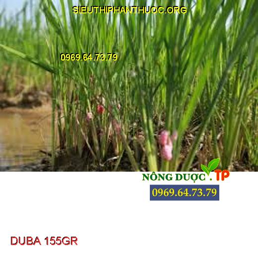 DUBA 155GR