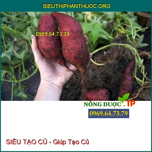 SIÊU TẠO CỦ - Giúp Tạo Củ