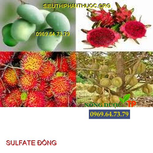 SULFATE ĐỒNG