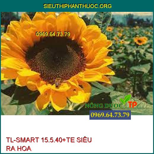 TL-SMART 15.5.40+TE SIÊU RA HOA