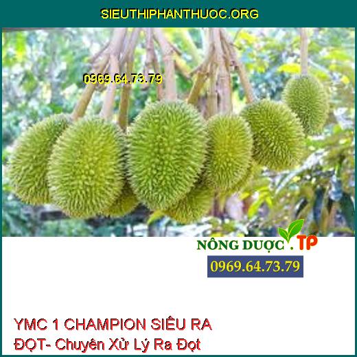 YMC 1 CHAMPION SIÊU RA ĐỌT- Chuyên Xử Lý Ra Đọt