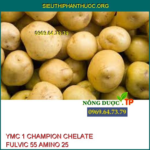 YMC 1 CHAMPION CHELATE FULVIC 55 AMINO 25