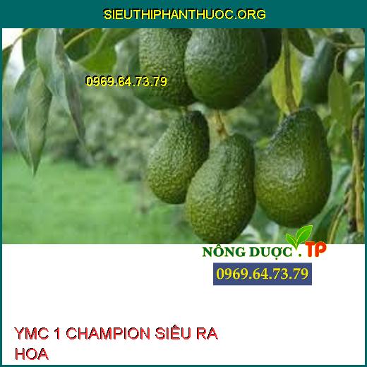 YMC 1 CHAMPION SIÊU RA HOA