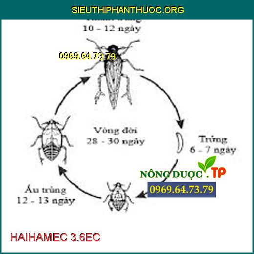 HAIHAMEC 3.6EC