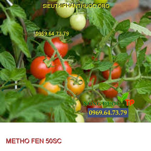 METHO FEN 50SC