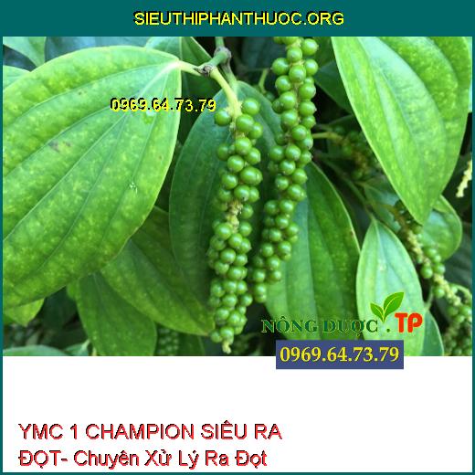 YMC 1 CHAMPION SIÊU RA ĐỌT- Chuyên Xử Lý Ra Đọt